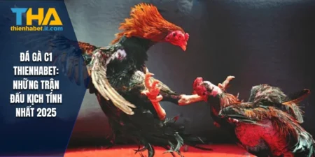 Đá Gà C1 THIENHABET