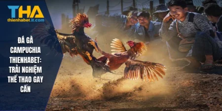 Đá Gà Campuchia THIENHABET